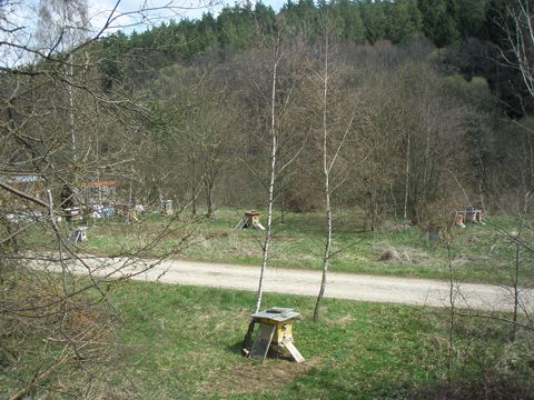 Foto 48